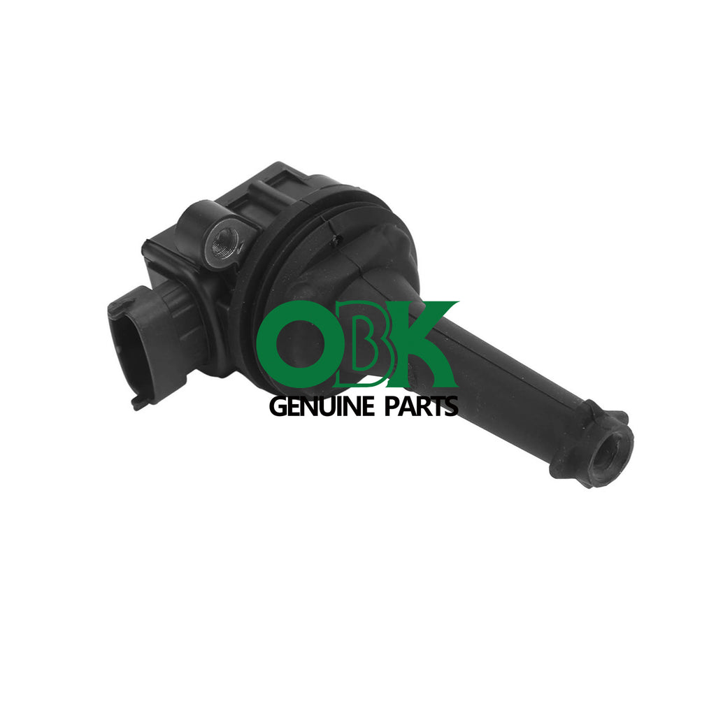 Ignition Coil For Volvo 0221604001 30713416 9125601