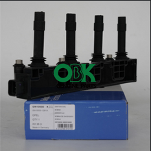 Load image into Gallery viewer, Gn1000000  Ignition Coil  Ignition Coil for DELPHI GN10000-12B1A