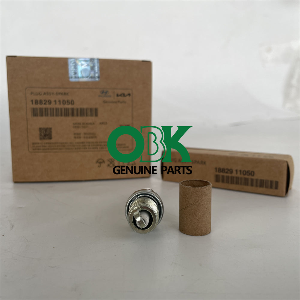 spark plugs for Kia Hyundai 18829-11050